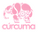 Cúrcuma - Inicio
